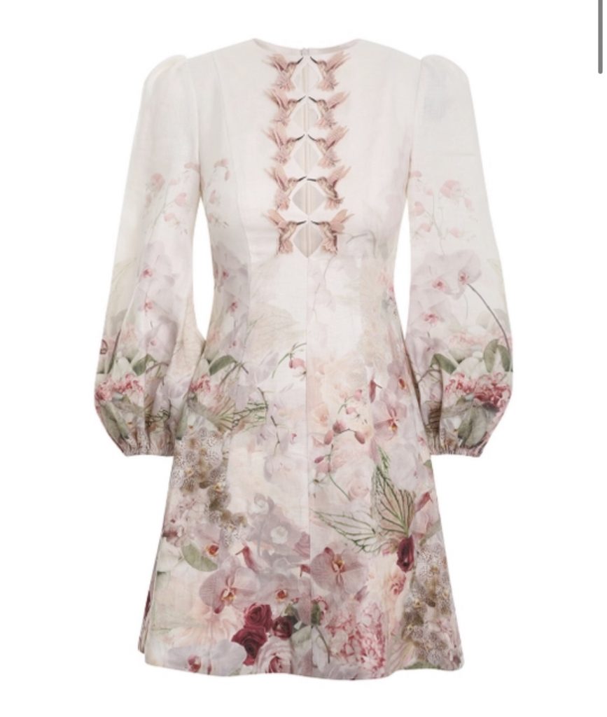 Zimmermann Dancer Hummingbird Mini dress - Dresses 4 Hire